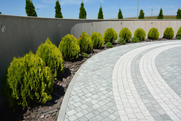 Best Driveway Repair Near Me  in Los Altos Hills, CA